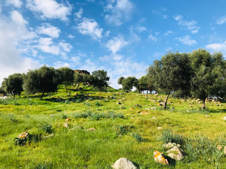 Una foto della collina del Nuraghe Sirai scattata durante una tappa del Cammino di Santa Barbara.