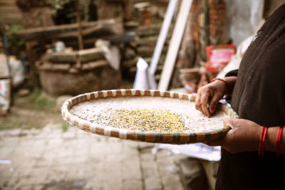 Foto di un cesto con dei semi e una mano che li sfiora. Immagine di molte tradizioni