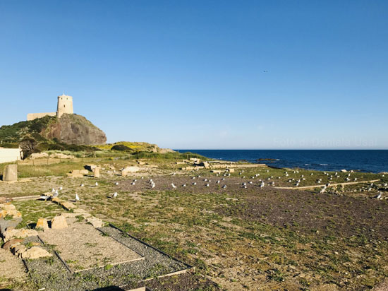 Una vista panoramica degli scavi di Nora sul mare.